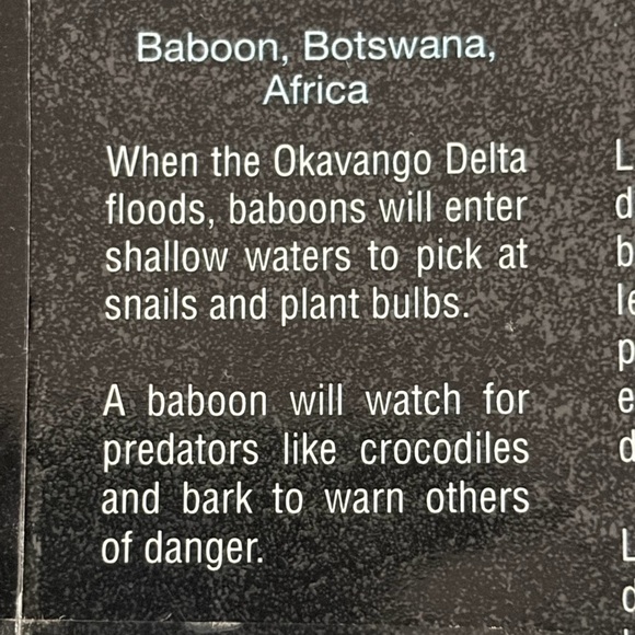 ❤️ BNIB Sealed 100 Pce Puzzle Planet Earth Featuring: Baboon, Botswana Africa - Picture 3 of 4